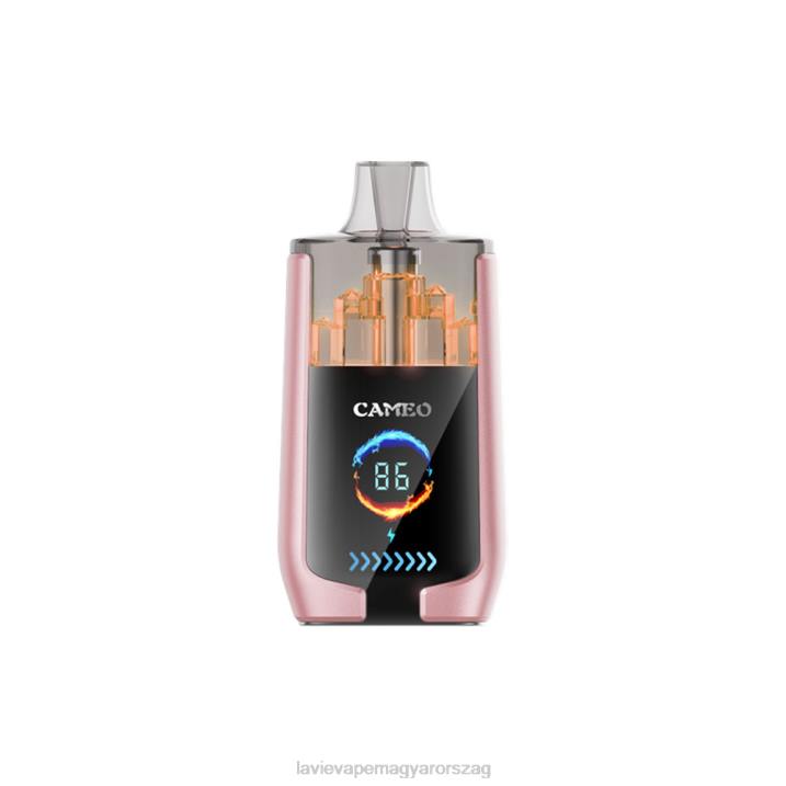 BJV019 Lavie Vape Review | trópusi gyümölcs LAVIE CAMEO 30000 fújás